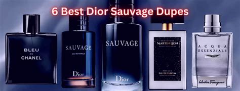 dupe of sauvage|dior sauvage dupe zara.